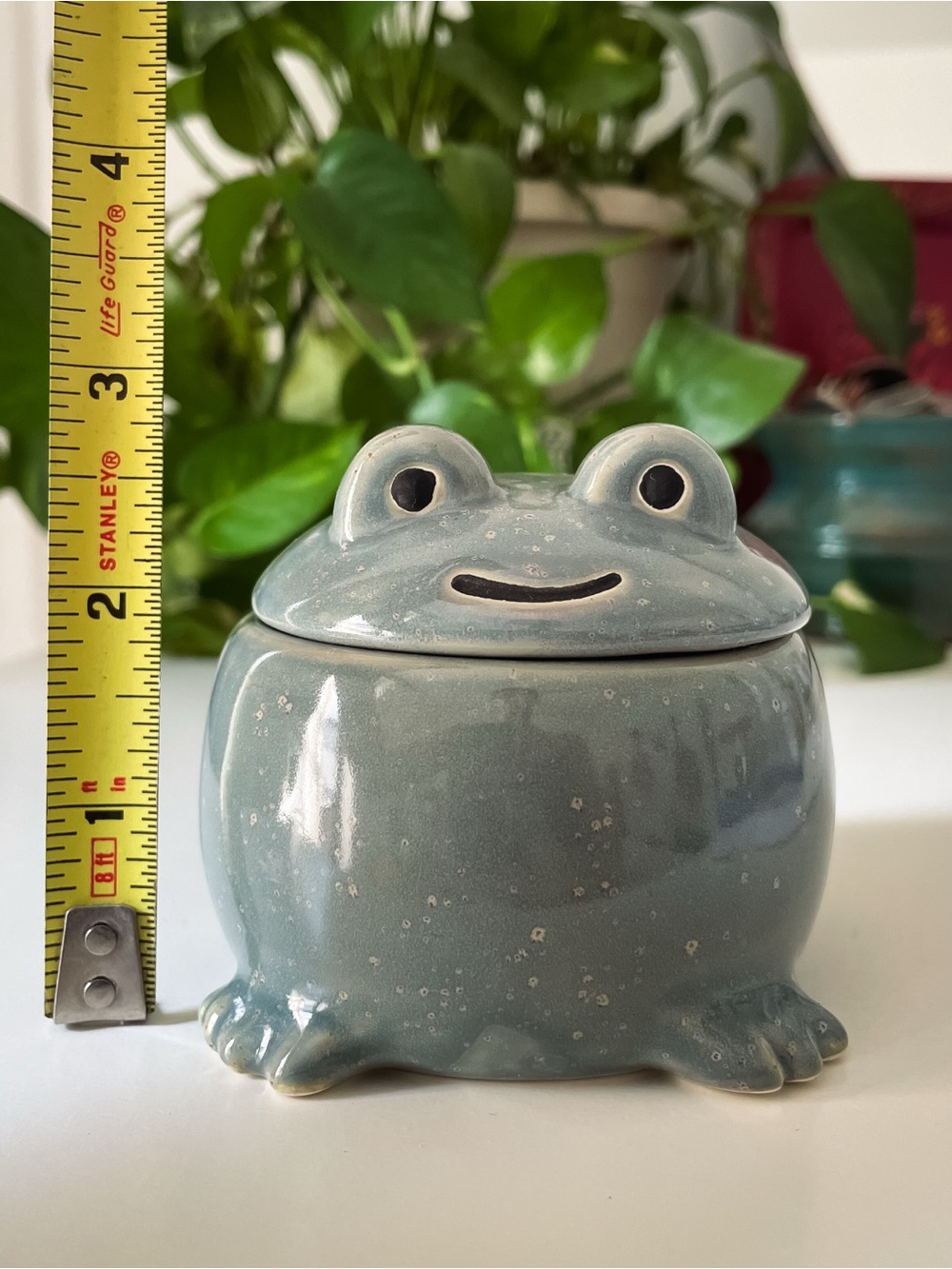 Trinket Jar - Adorable Green-Grey Ceramic Frog Keepsake Jar - Picture 8 of 8
